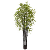 6' Black Bamboo Tree UV Resistant (Indoor/Outdoor) by Nearly Natural