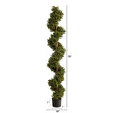 6’ Boxwood Spiral Topiary Artificial Tree by Nearly Natural