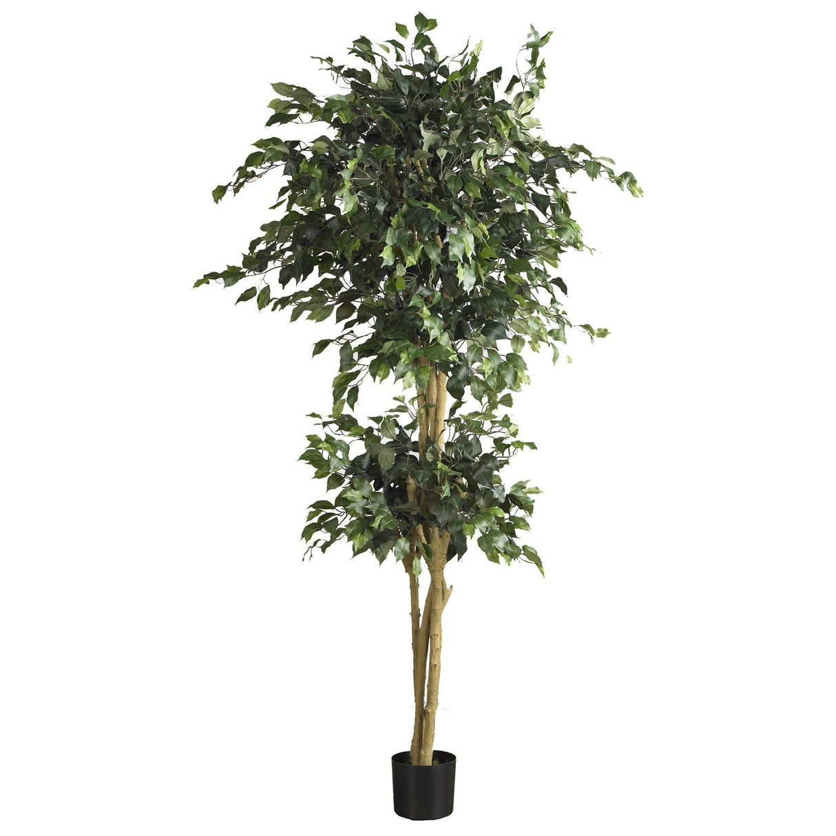 6' Double Ball Ficus Silk Tree by Nearly Natural