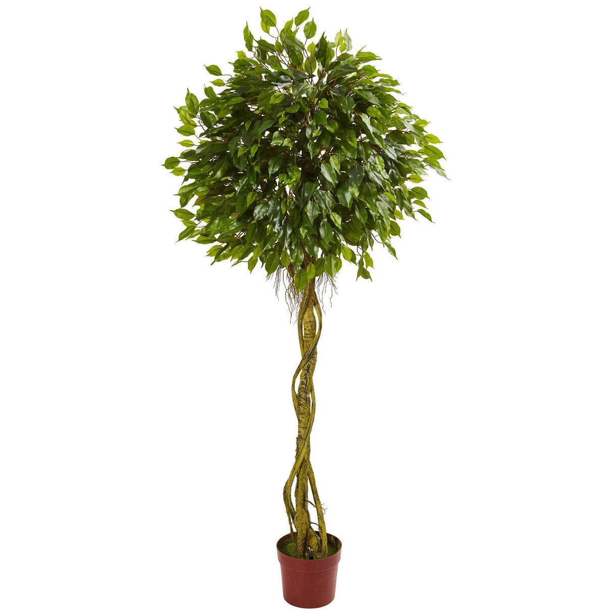 6' Ficus Artificial Topiary Tree UV Resistant (Indoor/Outdoor) by Nearly Natural