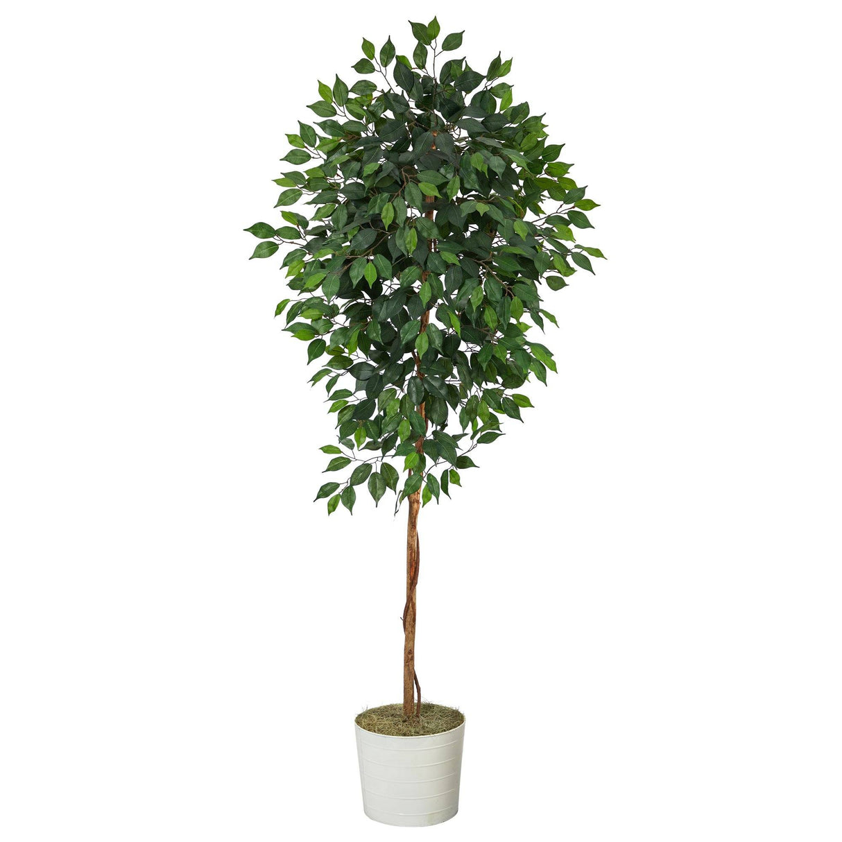 6’ Ficus Artificial Tree in White Tin Planter by Nearly Natural