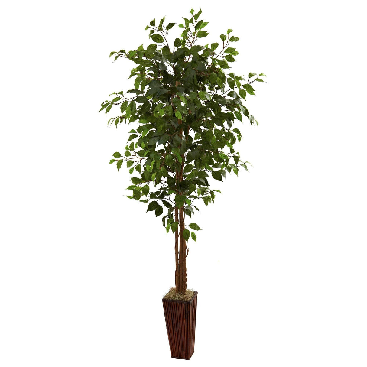 6' Ficus Tree w/Bamboo Planter by Nearly Natural