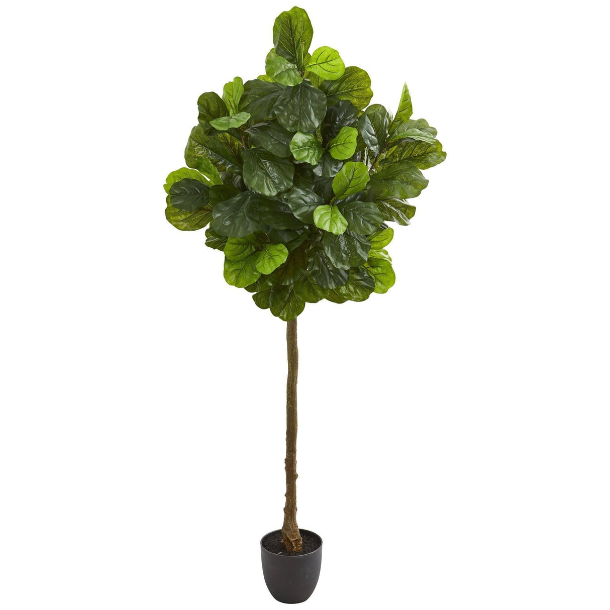 6’ Fiddle Leaf Artificial Tree (Real Touch) by Nearly Natural