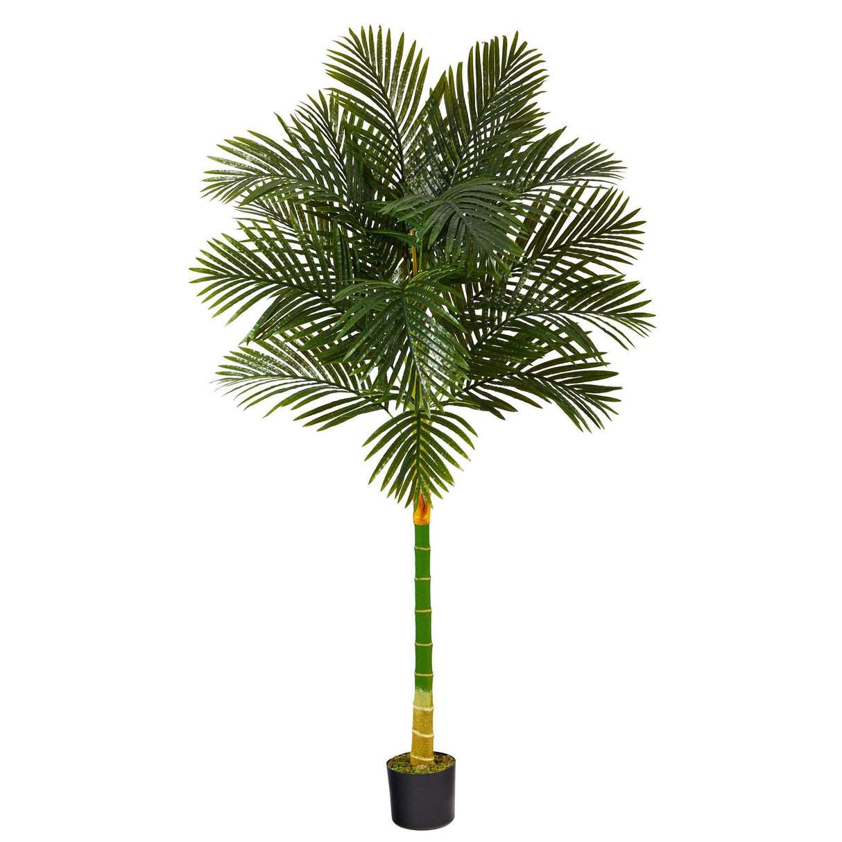 6’ Single Stalk Golden Cane Artificial Palm Tree by Nearly Natural