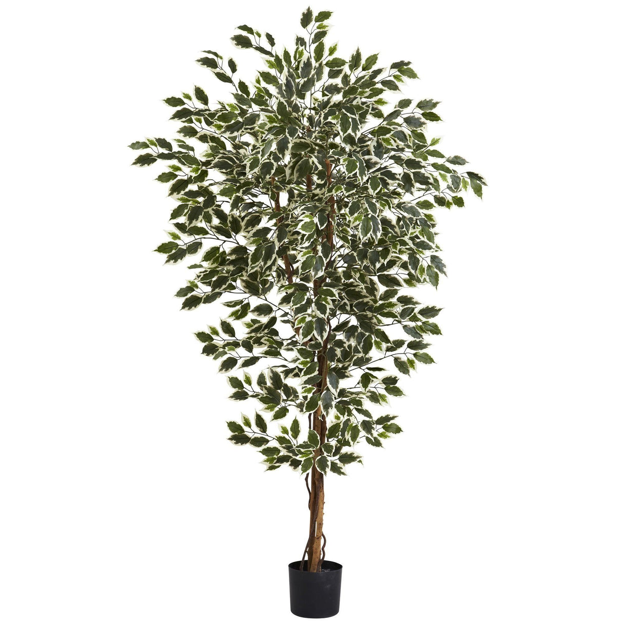 6' Hawaiian Ficus Tree by Nearly Natural