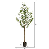 6’ Olive Artificial Tree by Nearly Natural