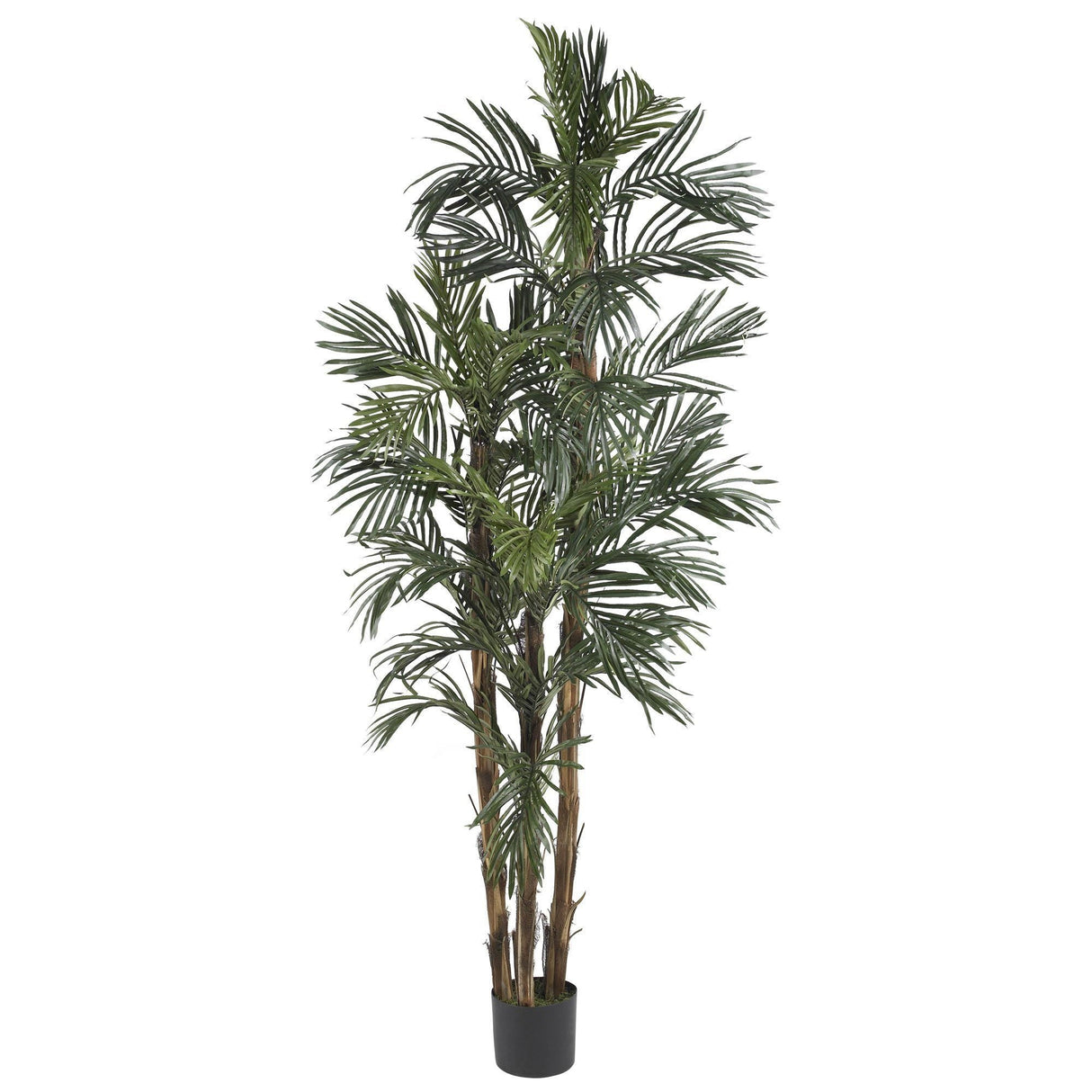 6' Robellini Palm Silk Tree by Nearly Natural