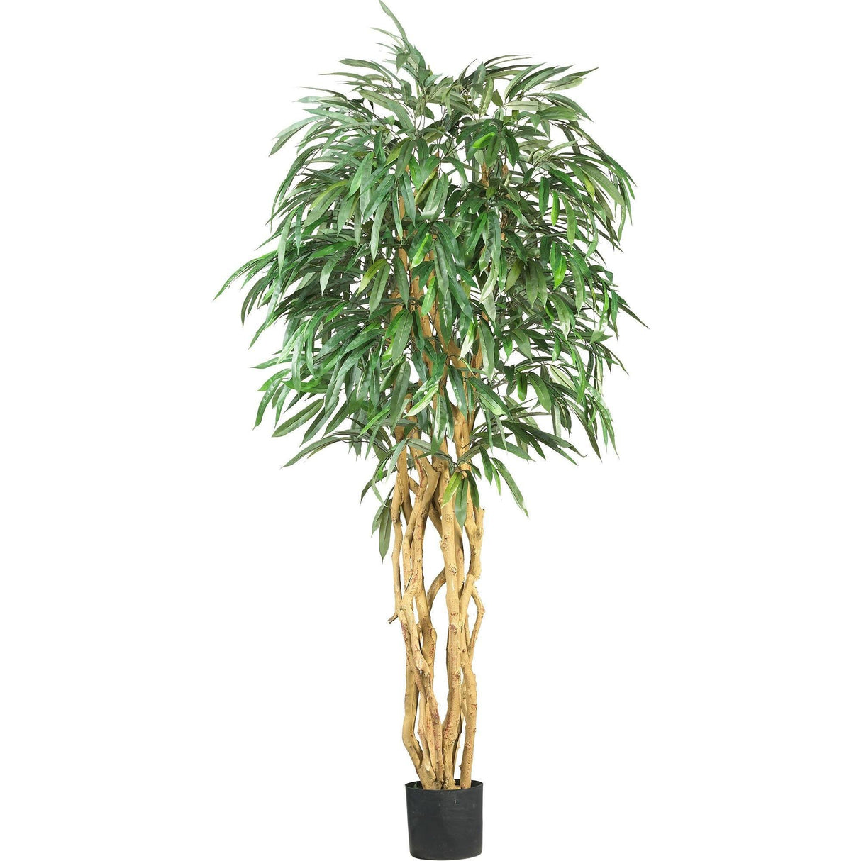 6' Weeping Ficus Silk Tree by Nearly Natural