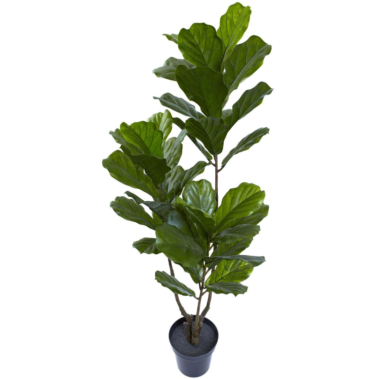 65” Fiddle Leaf Tree UV Resistant (Indoor/Outdoor) by Nearly Natural