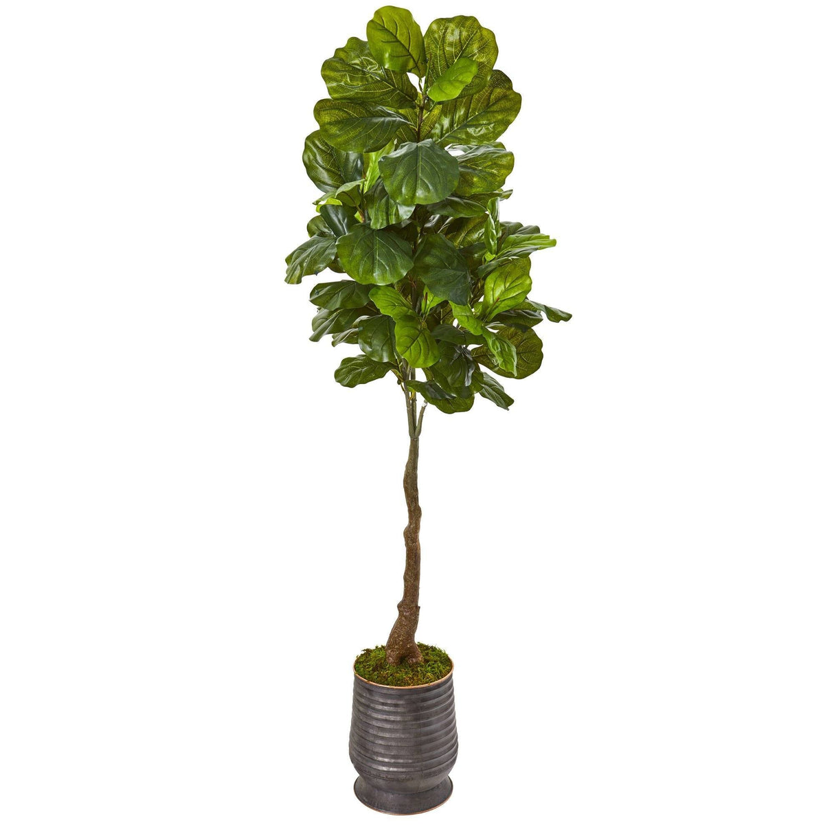 69” Fiddle Leaf Artificial Tree in Ribbed Metal Planter (Real Touch) by Nearly Natural