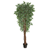 70” Variegated Ficus Artificial Tree UV Resistant (Indoor/Outdoor) by Nearly Natural