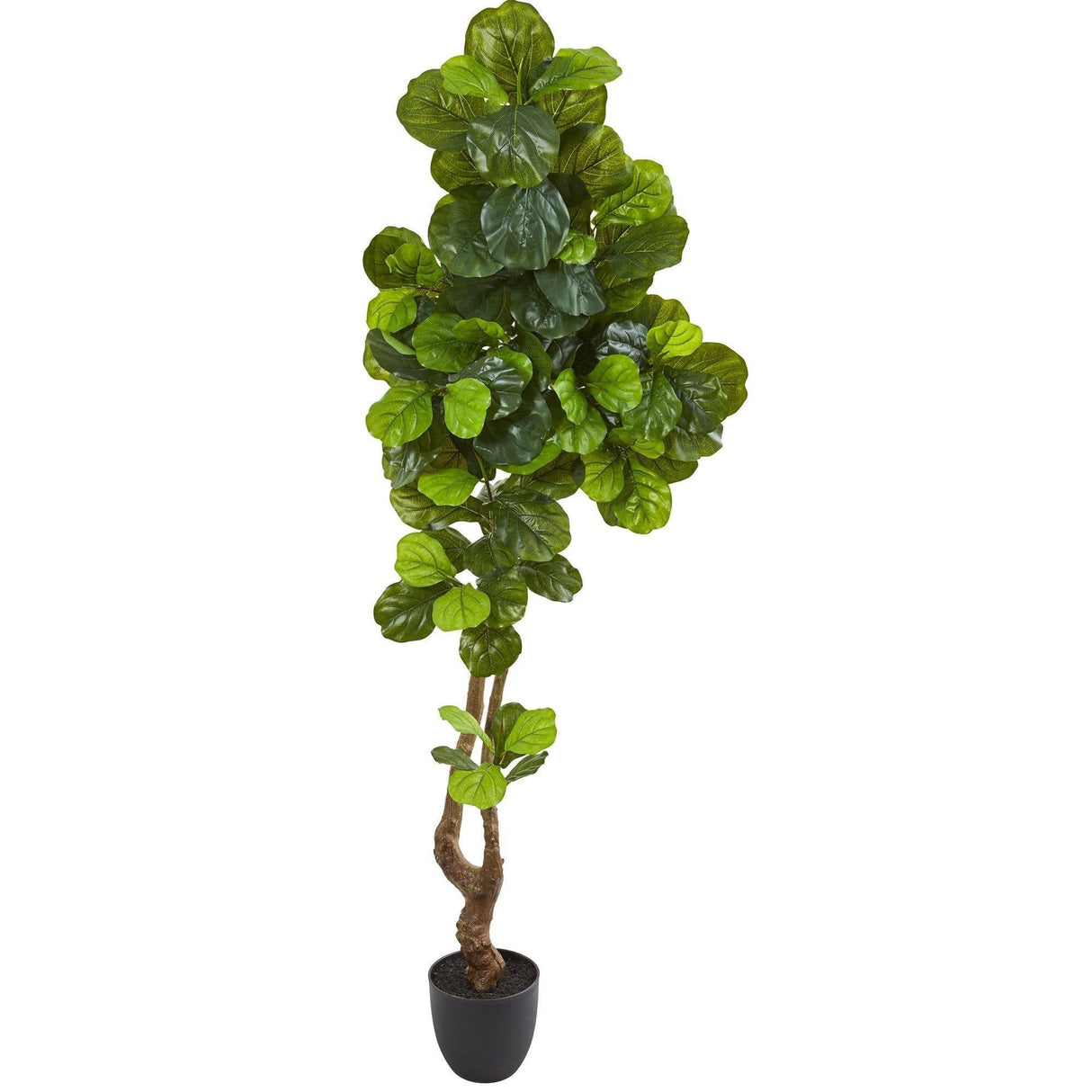 78” Fiddle Leaf Artificial Tree (Real Touch) by Nearly Natural