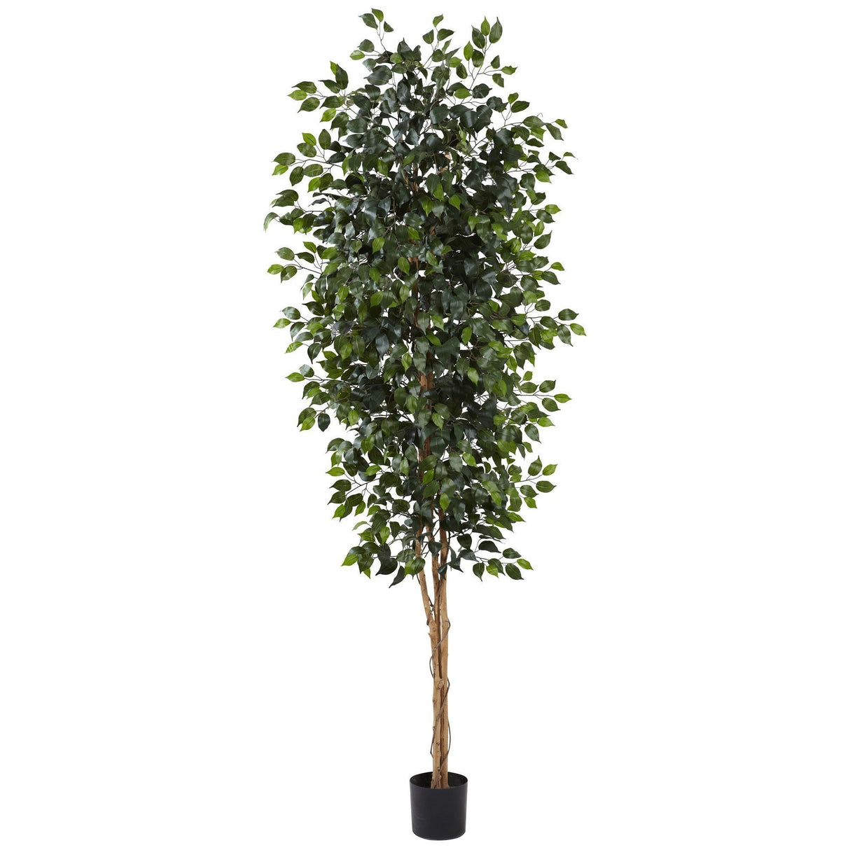 8’ Ficus Tree w/1512 Lvs by Nearly Natural