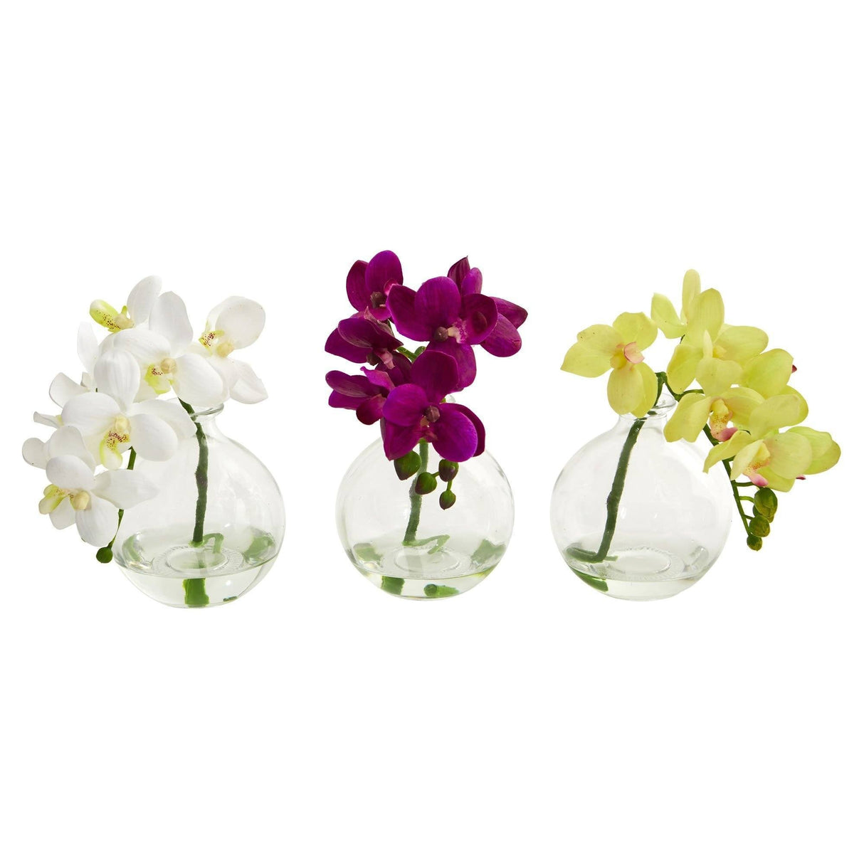 9” Phalaenopsis Orchid Artificial Arrangement in Vase (Set of 3) by Nearly Natural