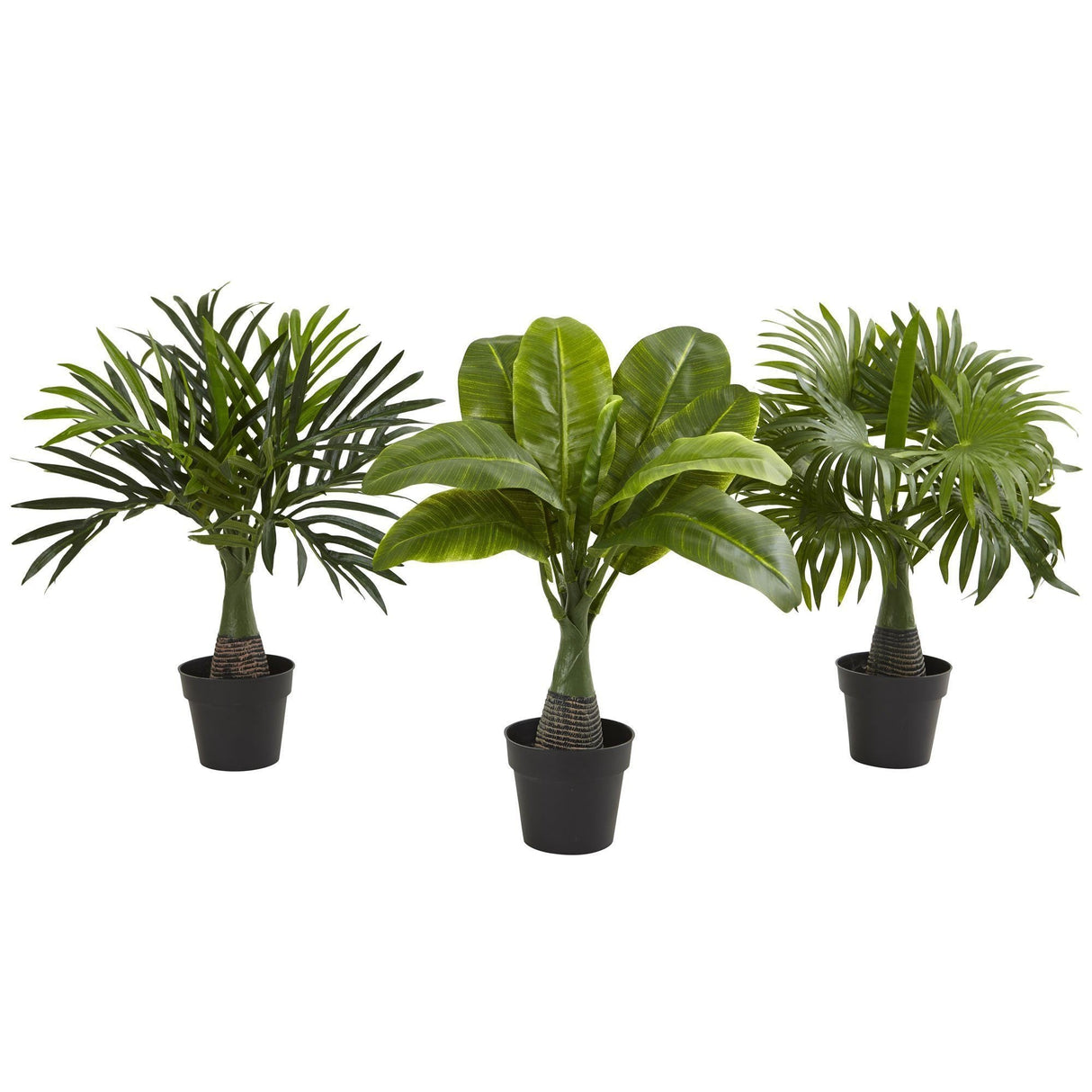 Areca, Fountain & Banana Palm (Set of 3) by Nearly Natural