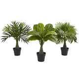 Areca, Fountain & Banana Palm (Set of 3) by Nearly Natural