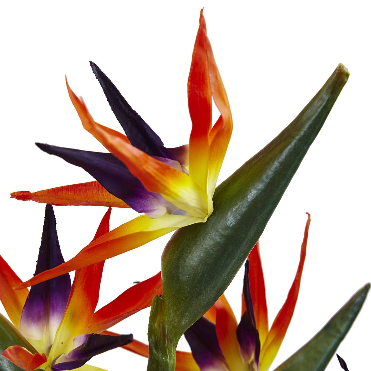 Birds of Paradise in Vase by Nearly Natural