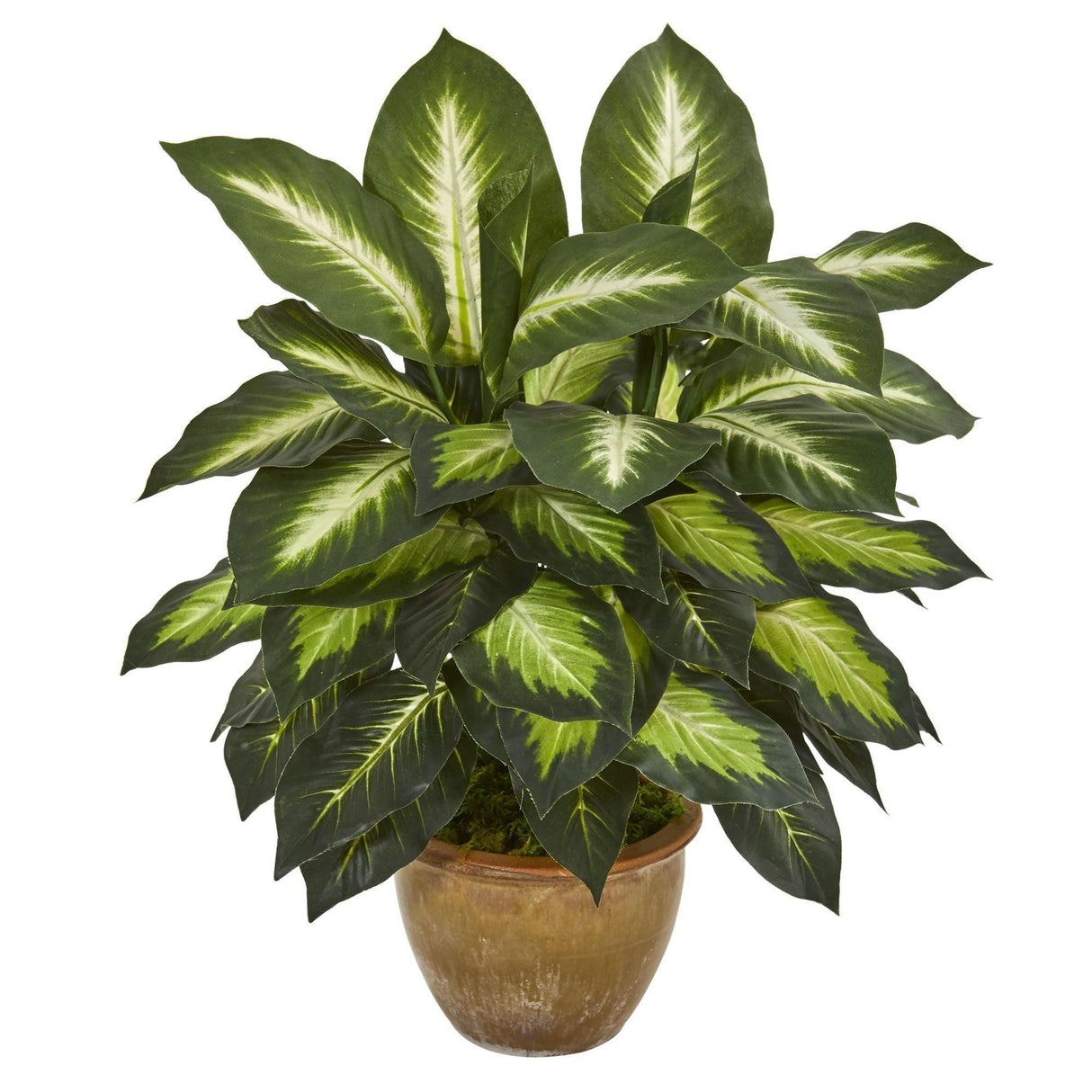 Dieffenbachia Artificial Plant in Ceramic Planter by Nearly Natural