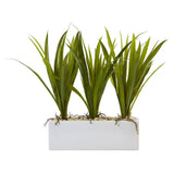 Grass in Rectangular Planter by Nearly Natural