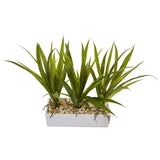 Grass in Rectangular Planter by Nearly Natural