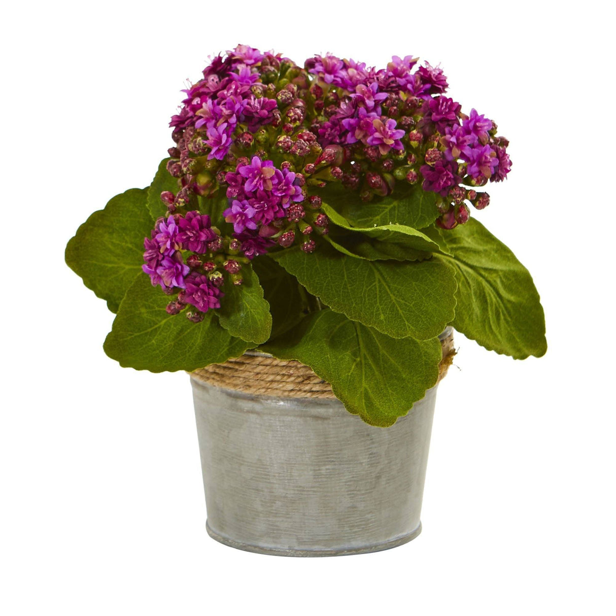 Kalanchoe Artificial Arrangements (Set of 3) by Nearly Natural