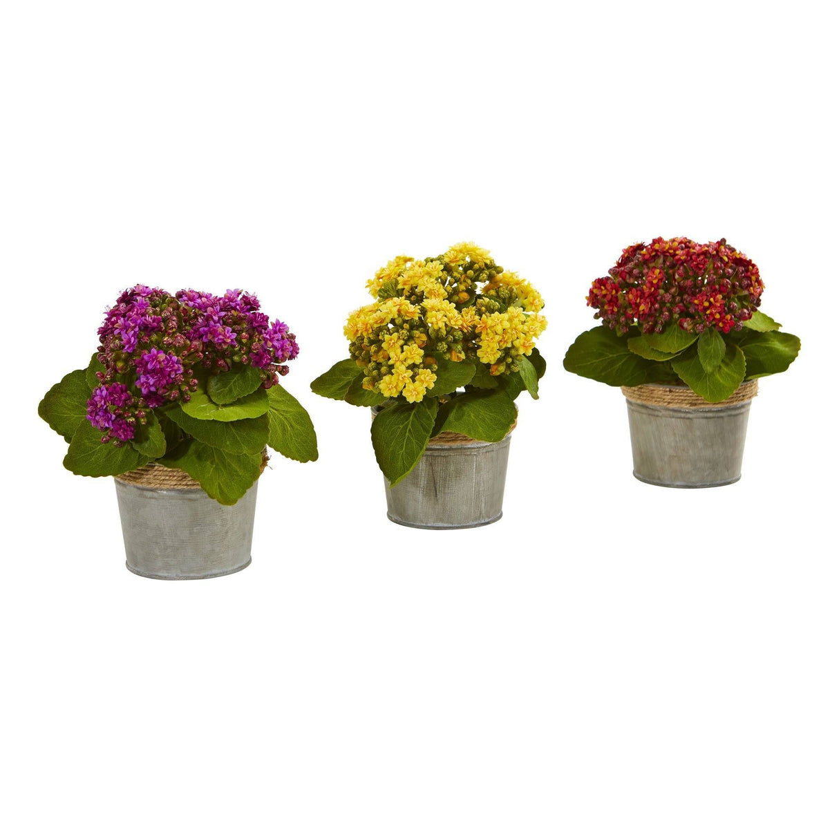 Kalanchoe Artificial Arrangements (Set of 3) by Nearly Natural