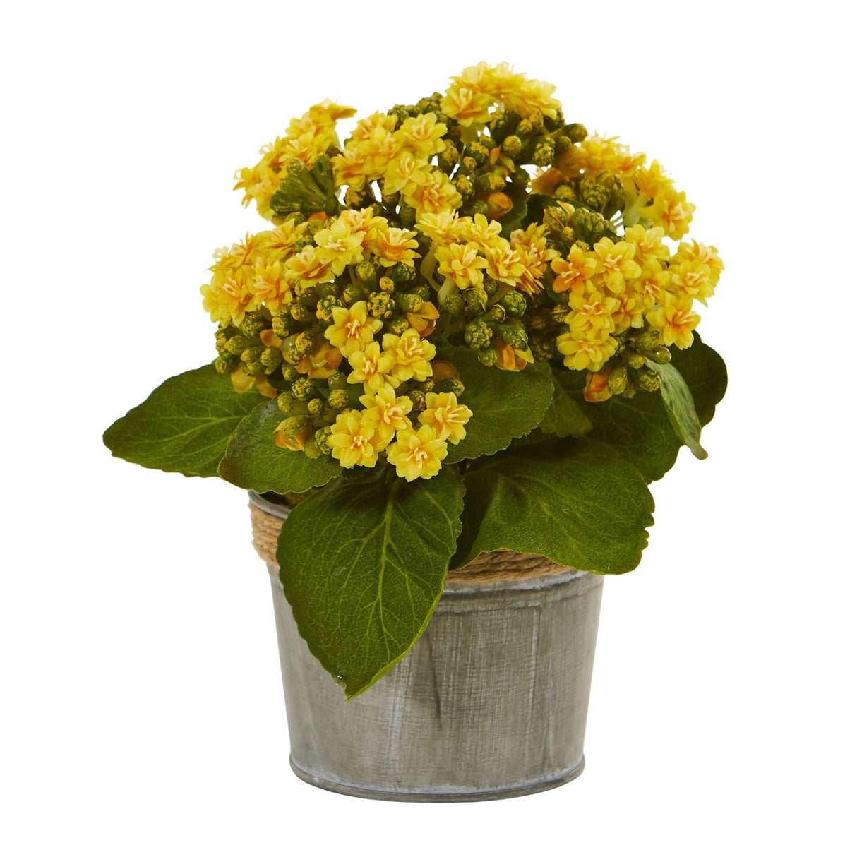 Kalanchoe Artificial Arrangements (Set of 3) by Nearly Natural