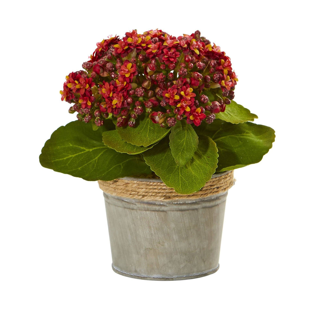 Kalanchoe Artificial Arrangements (Set of 3) by Nearly Natural