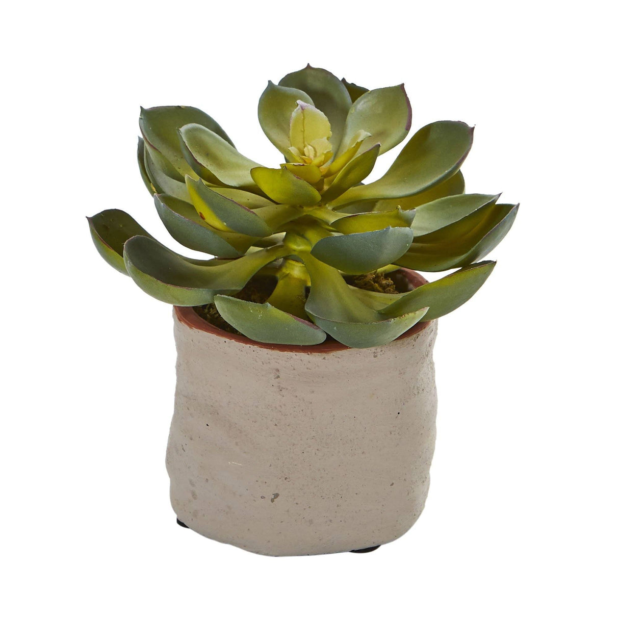 Mixed Succulent Artificial Plant (Set of 4) by Nearly Natural