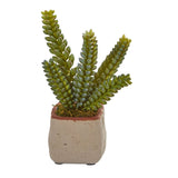 Mixed Succulent Artificial Plant (Set of 4) by Nearly Natural