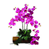 Phalaenopsis Stem (Set of 12) by Nearly Natural