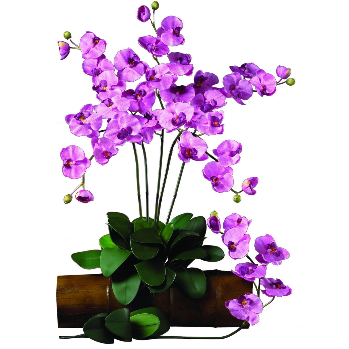 Phalaenopsis Stem (Set of 12) by Nearly Natural