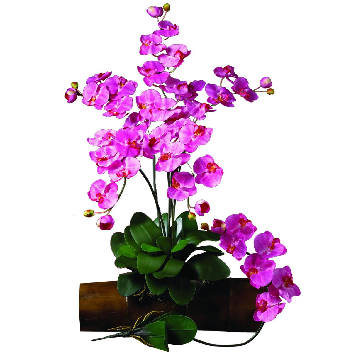 Phalaenopsis Stem (Set of 12) by Nearly Natural