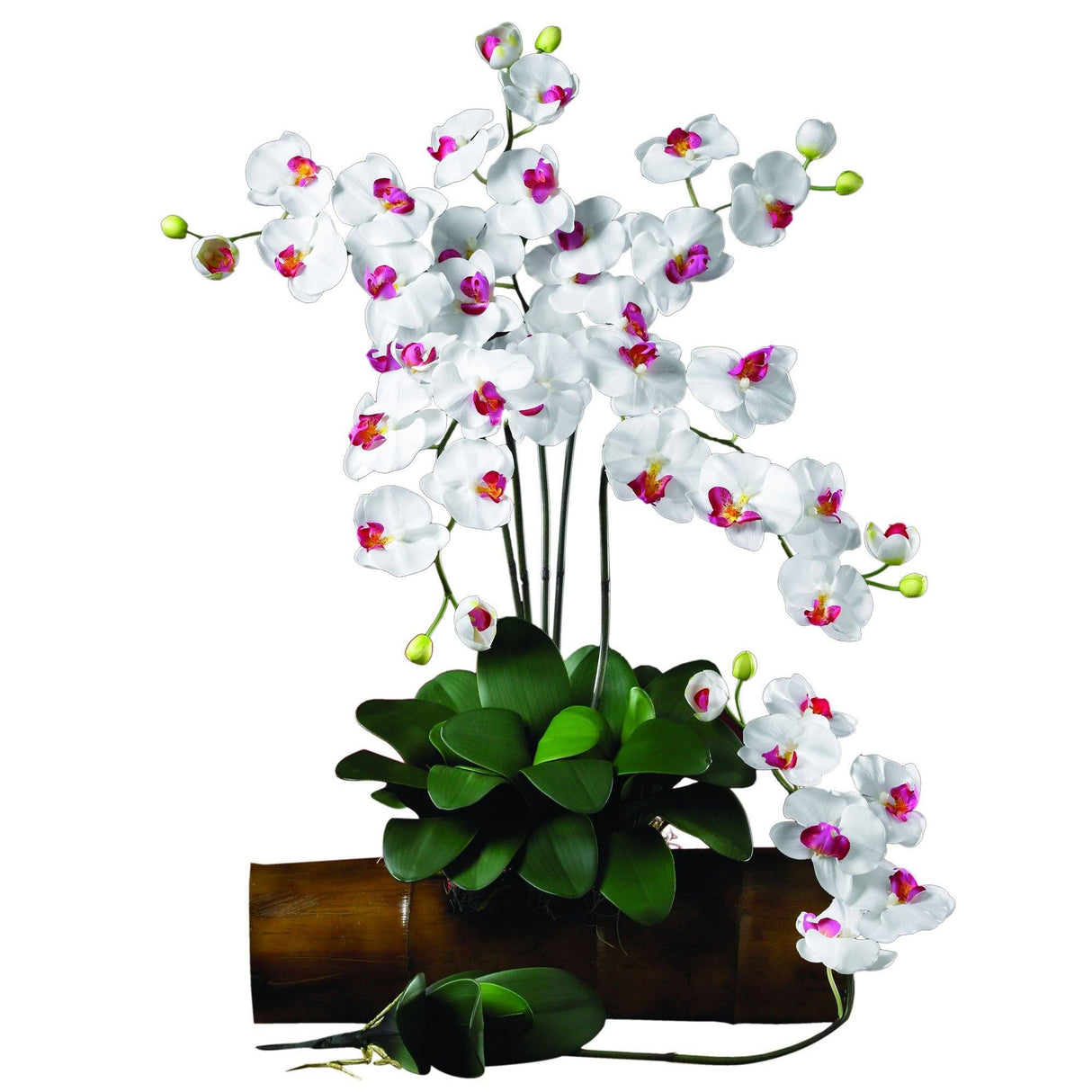 Phalaenopsis Stem (Set of 12) by Nearly Natural