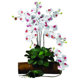 Phalaenopsis Stem (Set of 12) by Nearly Natural