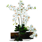 Phalaenopsis Stem (Set of 12) by Nearly Natural