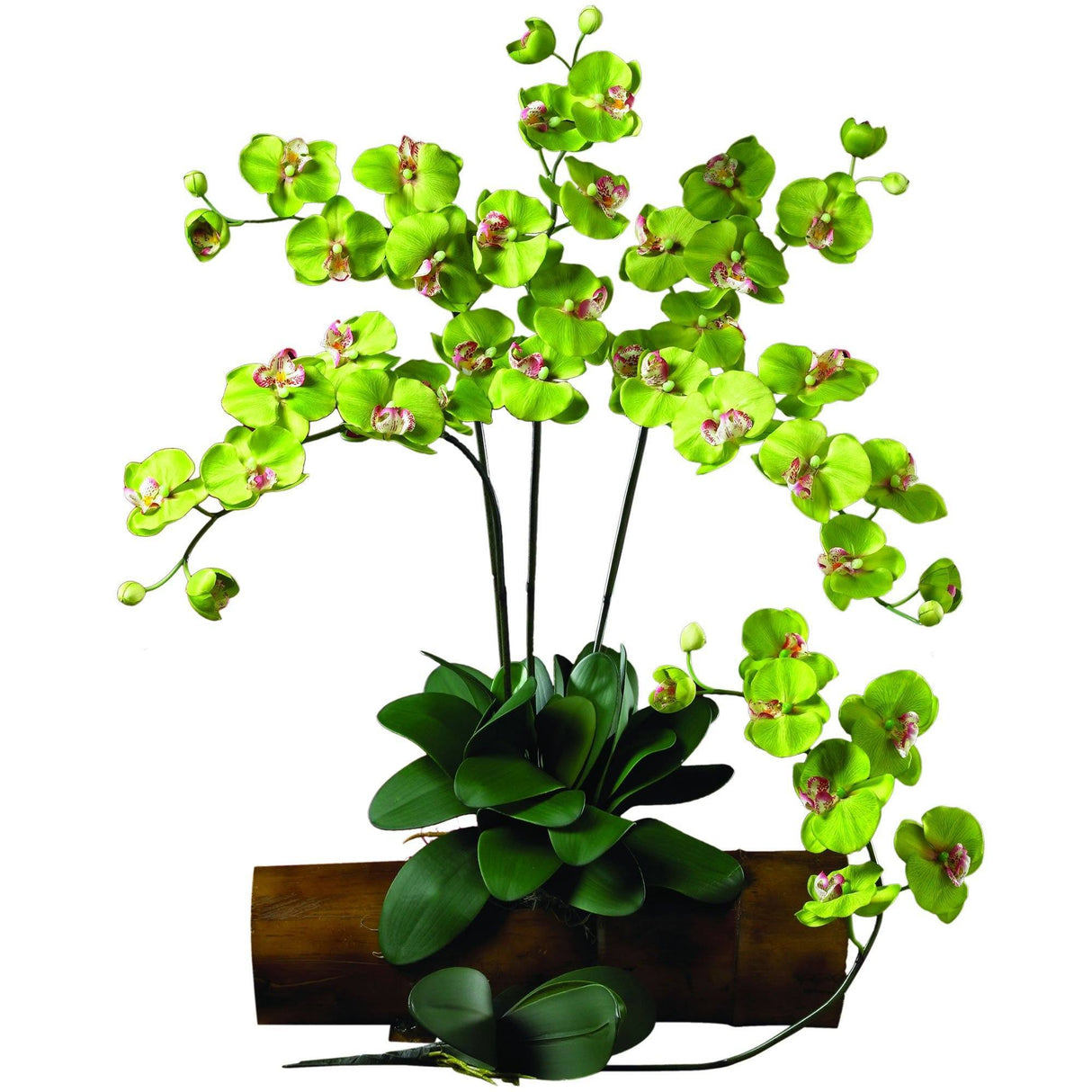 Phalaenopsis Stem (Set of 12) by Nearly Natural