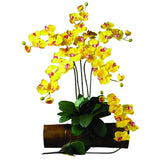 Phalaenopsis Stem (Set of 12) by Nearly Natural