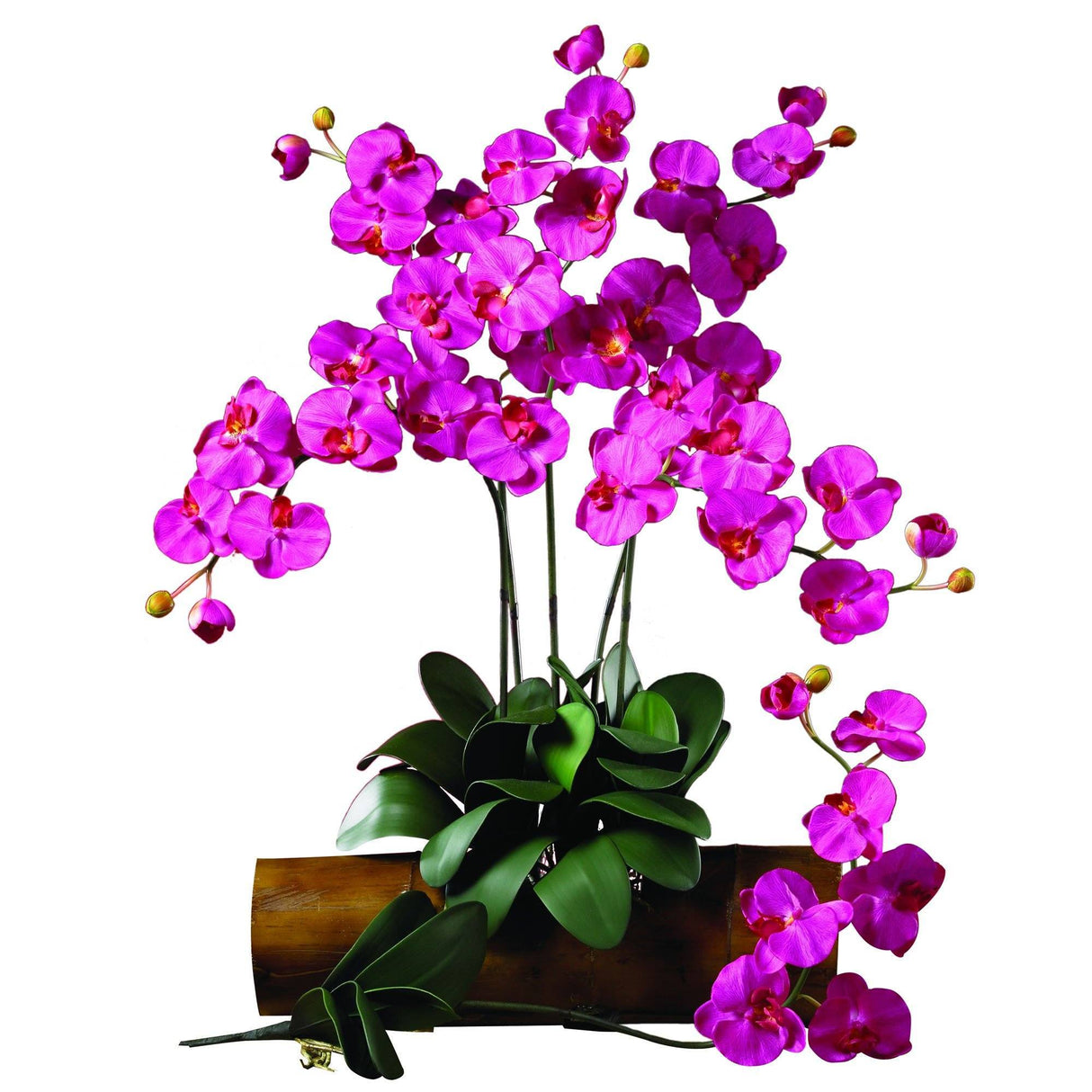 Phalaenopsis Stem (Set of 12) by Nearly Natural