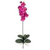 Phalaenopsis Stem (Set of 12) by Nearly Natural