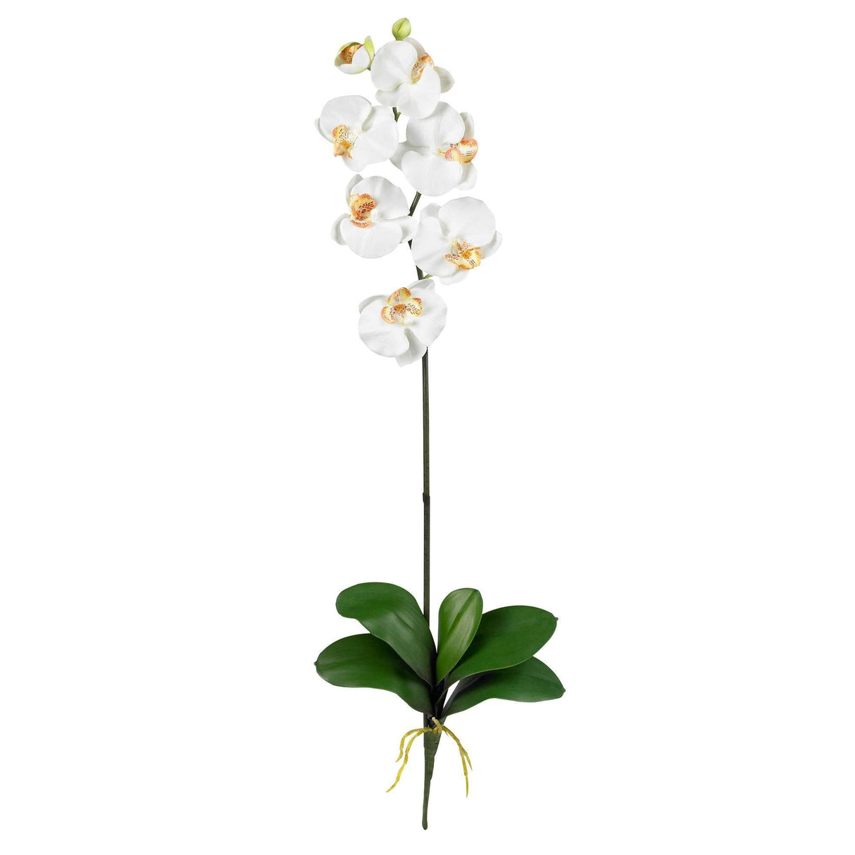 Phalaenopsis Stem (Set of 12) by Nearly Natural