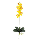 Phalaenopsis Stem (Set of 12) by Nearly Natural