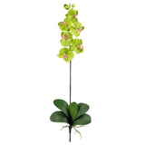 Phalaenopsis Stem (Set of 12) by Nearly Natural