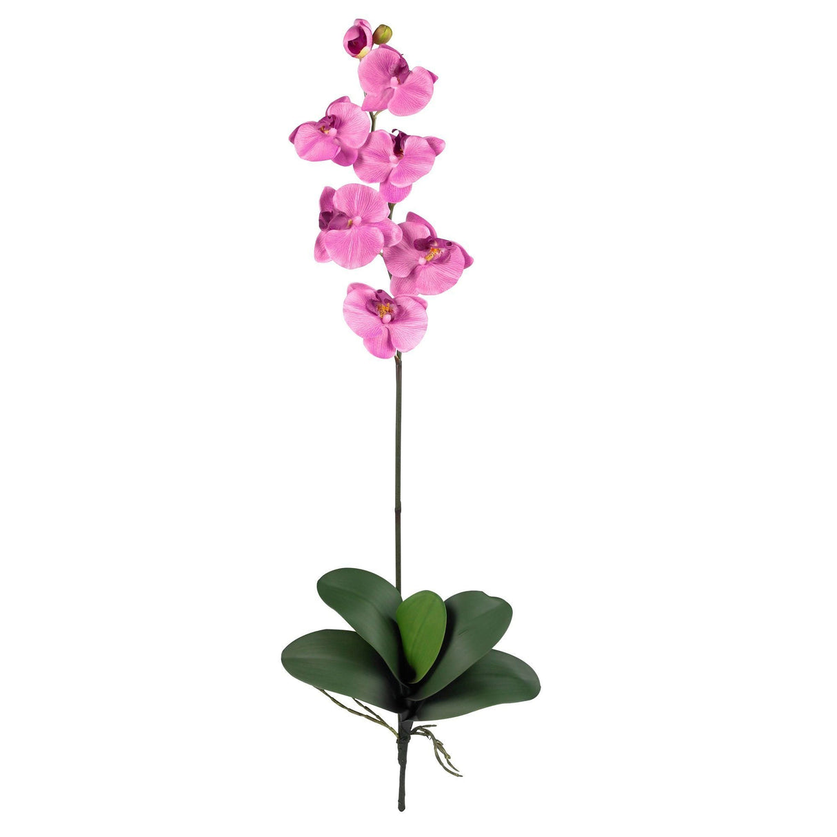 Phalaenopsis Stem (Set of 12) by Nearly Natural