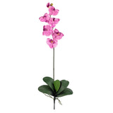 Phalaenopsis Stem (Set of 12) by Nearly Natural