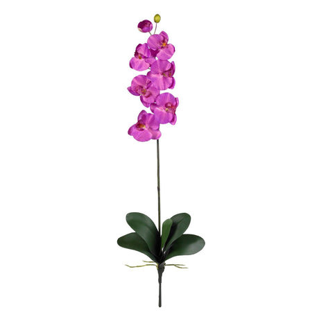 Phalaenopsis Stem (Set of 12) by Nearly Natural