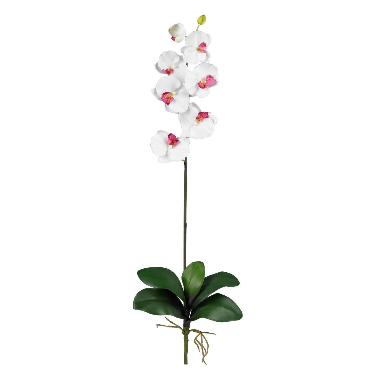 Phalaenopsis Stem (Set of 12) by Nearly Natural