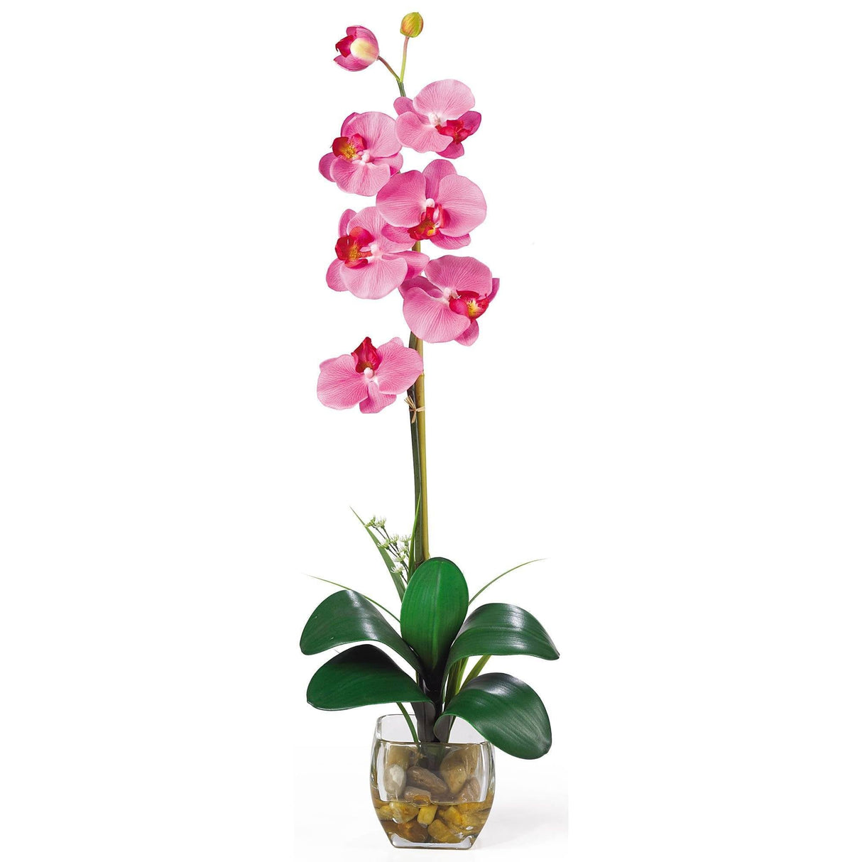 Single Phalaenopsis Liquid Illusion Silk Flower Arrangement by Nearly Natural