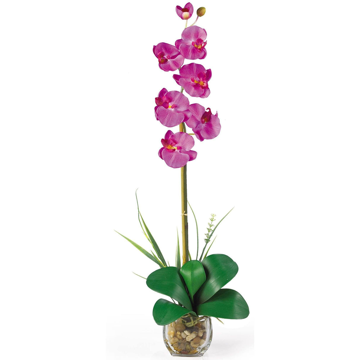 Single Phalaenopsis Liquid Illusion Silk Flower Arrangement by Nearly Natural