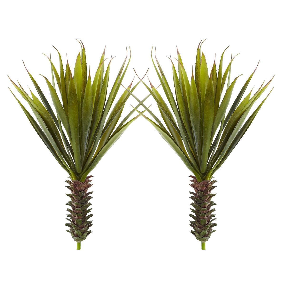 Spiky Agave Succulent Plant (Set of 2) by Nearly Natural